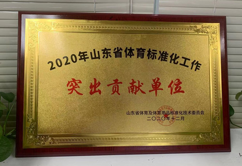 恭喜九游娱乐Nineame官方网站體育榮獲山東省體育及體育用品標(biāo)準(zhǔn)化技術(shù)委員會(huì)授予“突出貢獻(xiàn)單位”榮譽(yù)稱(chēng)號(hào)